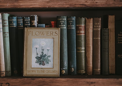 assorted-title book lot in bookcase thumbnail