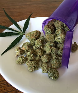 Marijuana buds thumbnail