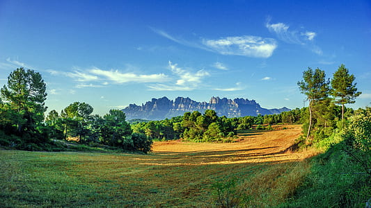 green pasture with trees under cloudy sky thumbnail