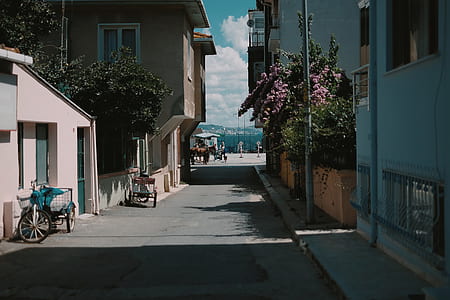 photography of street thumbnail