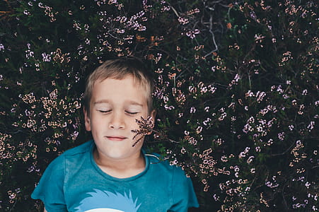 boy laying on green plants thumbnail