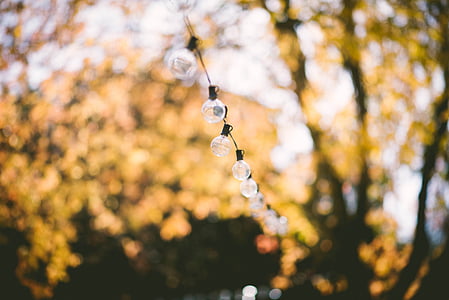 selective focus photography of string lights thumbnail