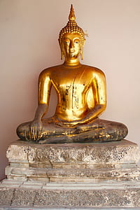 sitting brass-colored buddha statue near white wall thumbnail