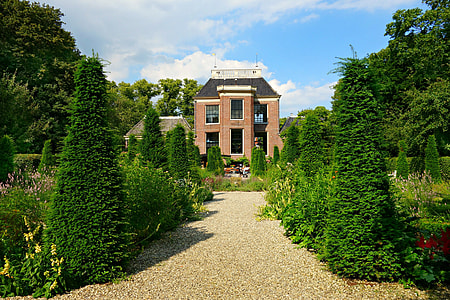 house surrounded by trees under blue sky thumbnail