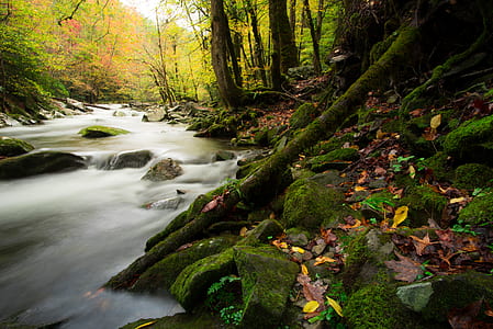 river running on mossy rocks thumbnail