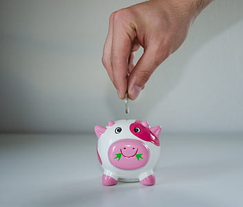 Pink and White Ceramic Pig Coin Bank thumbnail