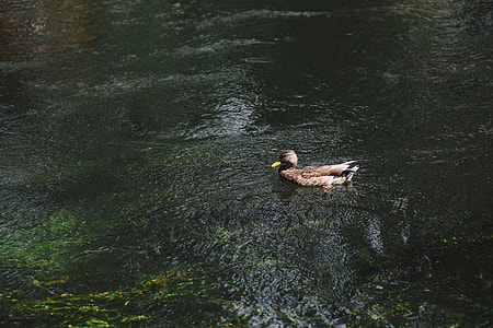 River thumbnail
