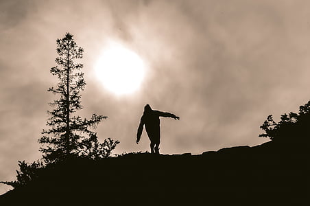 silhouette of person on mountain near leafed tree during daytime thumbnail