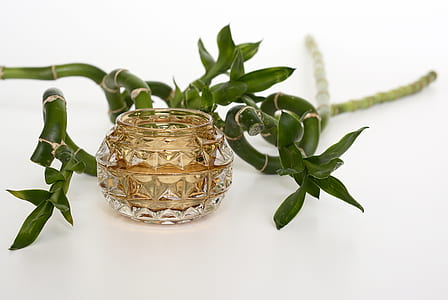 clear cut glass container thumbnail