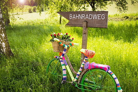 multicolored commuter bicycle beside brown wooden signage thumbnail