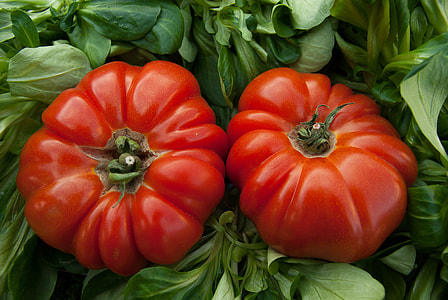 closeup photo of two ripe tomatoes thumbnail