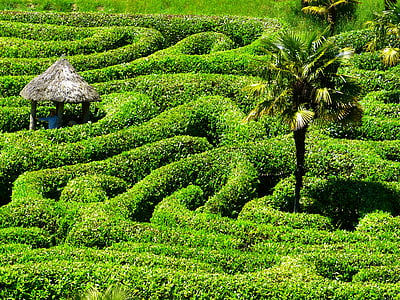 cogon roof house surrounded by plants thumbnail