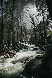 green trees and river under stormy sky thumbnail