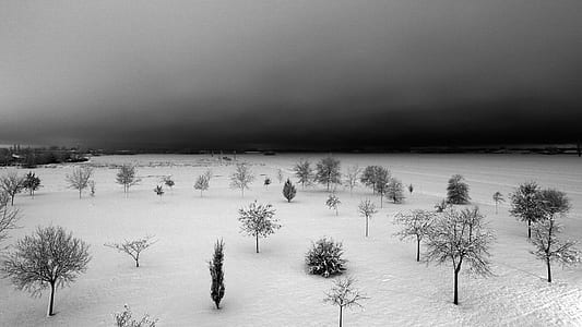 grayscale photography of winter thumbnail