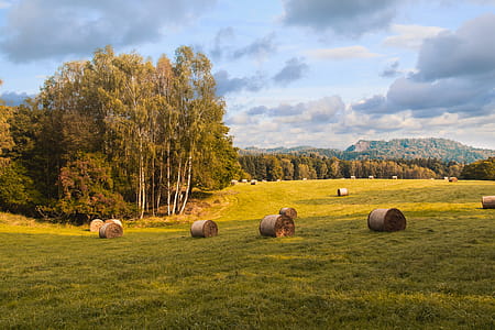 Summer beautiful meadow and sky with clouds thumbnail