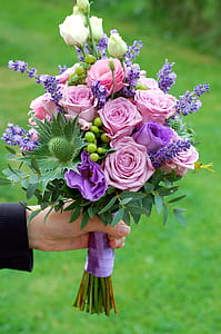 pink and purple flowers thumbnail