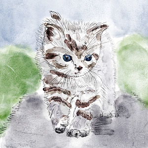 sketch of white and brown cat thumbnail