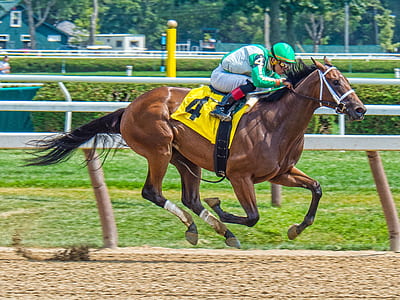 brown stallion galloping on race track thumbnail