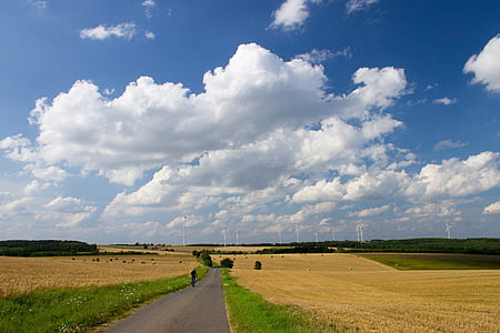 person walking near rice field thumbnail