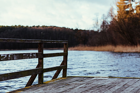 Winter walk by the lake thumbnail