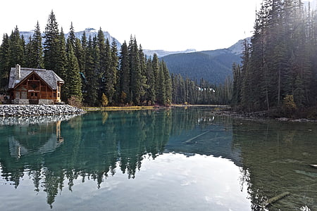 photo of brown wooden cabin near river in forest during daytime thumbnail