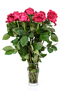 photo of red roses in glass vase thumbnail
