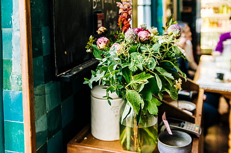 Green Potted Plant thumbnail
