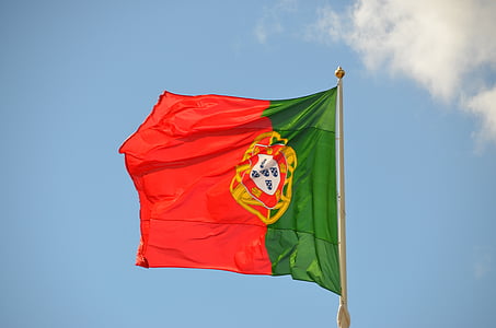 green and red flag thumbnail