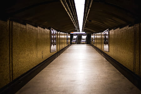 empty hallway near escalator thumbnail
