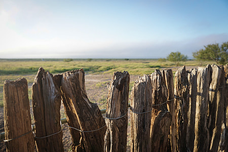 photo of brown wooden fence thumbnail
