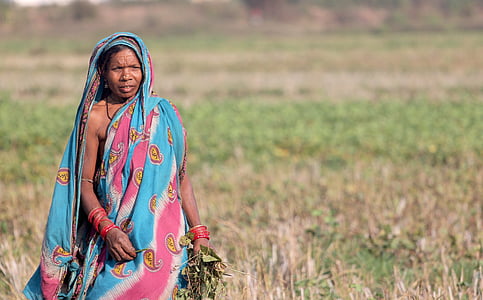 woman carrying green leaves thumbnail