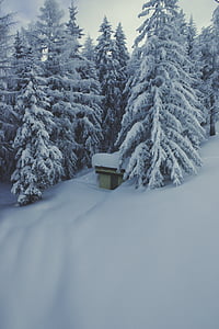 cabin covered with snow thumbnail