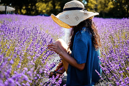 woman sitting in middle of lavender field thumbnail