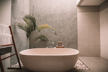 empty bathtub beside palm plant thumbnail