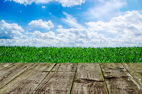 brown wooden dock beside green grass thumbnail