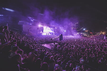 crowd of people in concert grounds thumbnail