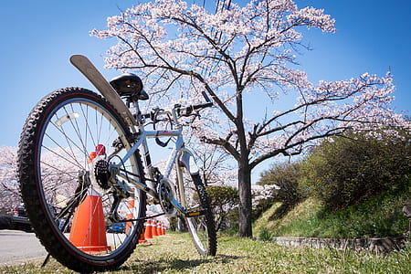 gray bike parked near tree at daytime thumbnail