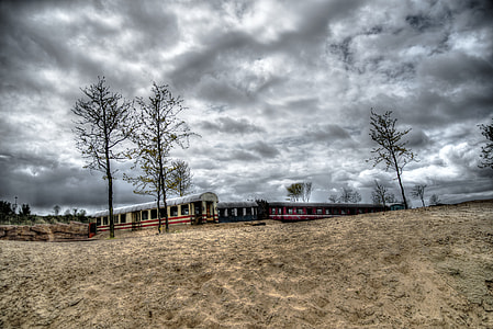 several bare trees under gray sky thumbnail