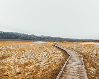 photo of dock between grass field thumbnail
