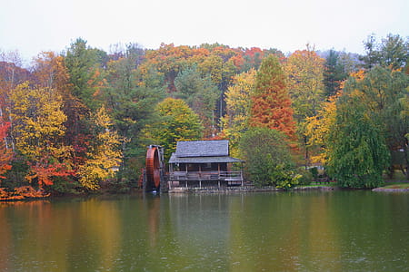 Mill Pond at Haywood Community College thumbnail