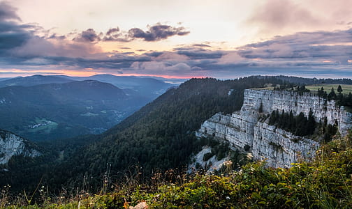mountain near forest of trees thumbnail