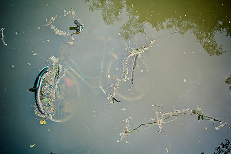 blue bicycle on body of water thumbnail