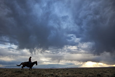 silhouette of person riding horse under cloudy sky during daytime thumbnail