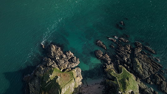 calf water near rock formation thumbnail