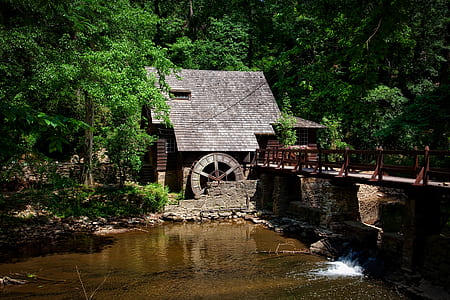 photo of gray house near river surrounded by trees thumbnail