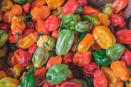 re and green chili pepper lot thumbnail