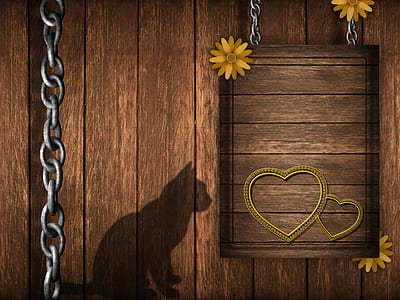 animal casting reflection beside board thumbnail