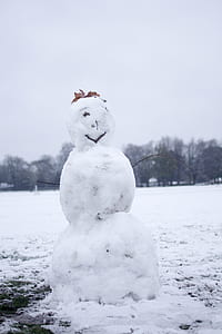 snowman in the middle of field thumbnail