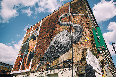 Shot of a street art bird on the side of a building in East London thumbnail