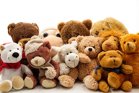brown bear plush toy lot on white background thumbnail